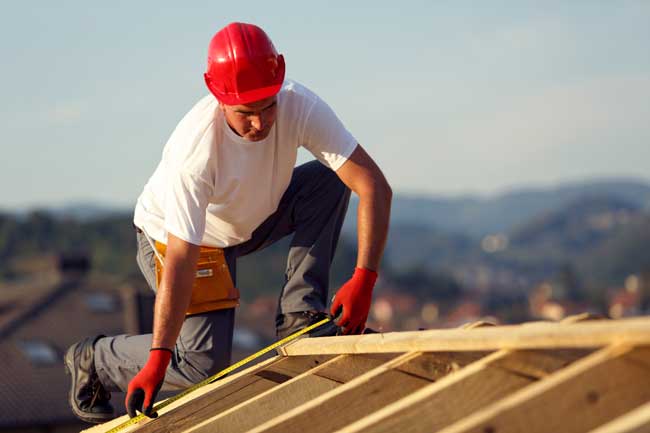 Professional Roofers