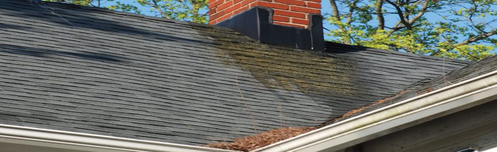 Roofingdanger