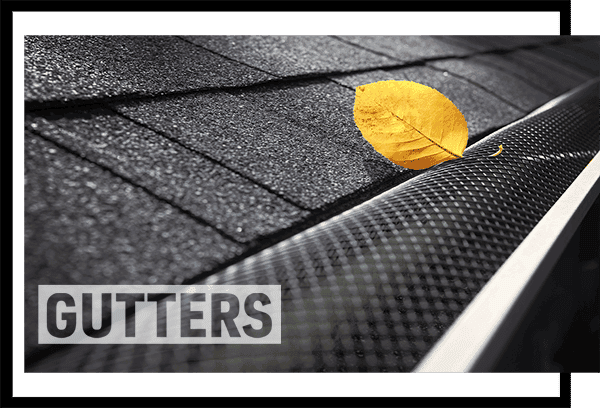 Professional Gutter Services