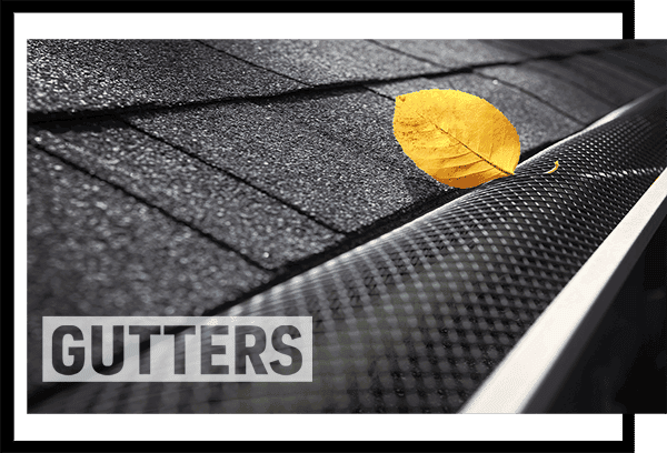 Professional Gutter Services Professional Gutter Services
